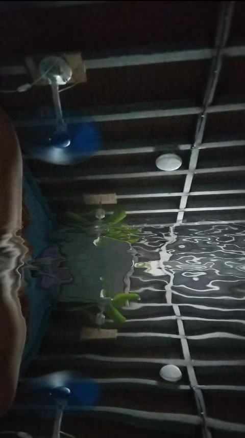 @Angela Nanta