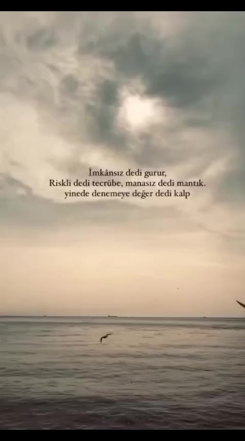 @Makbule Çoşkun