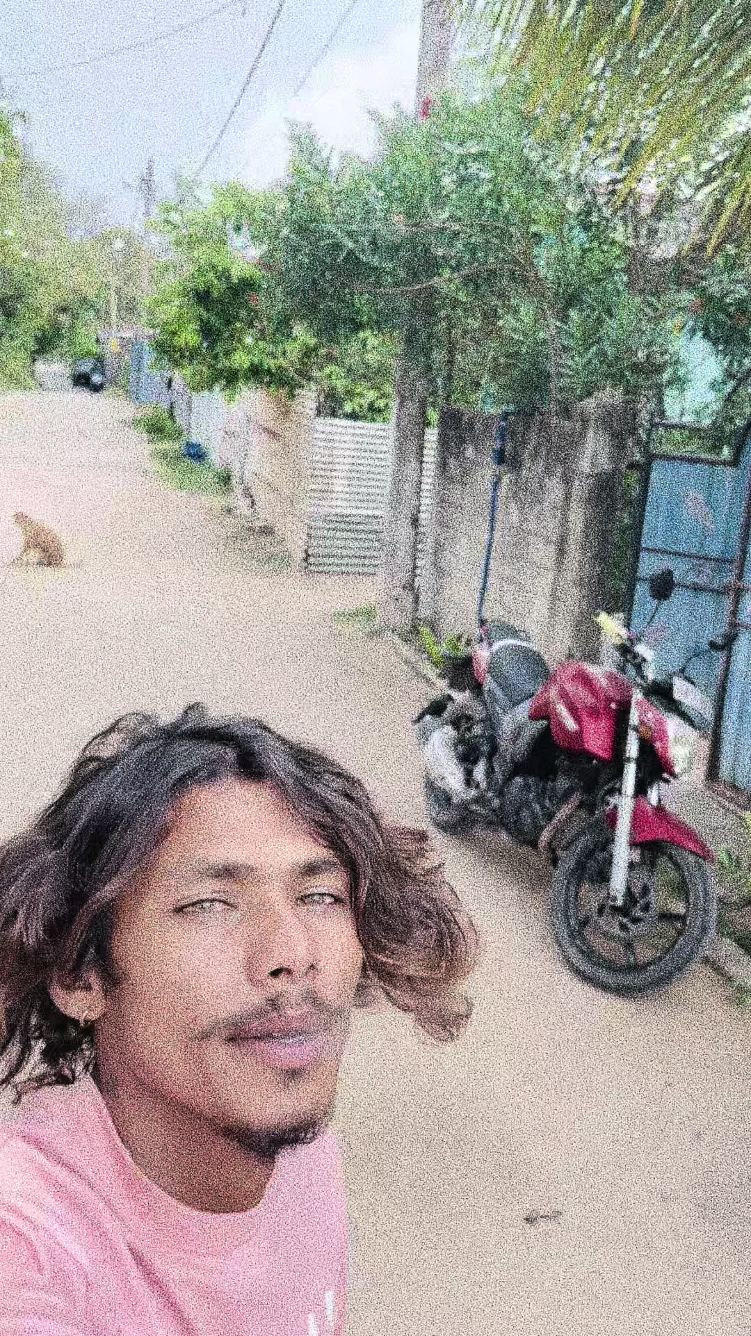 @ꨄ︎𝖘𝖚𝖉𝖉𝖆ఌ︎