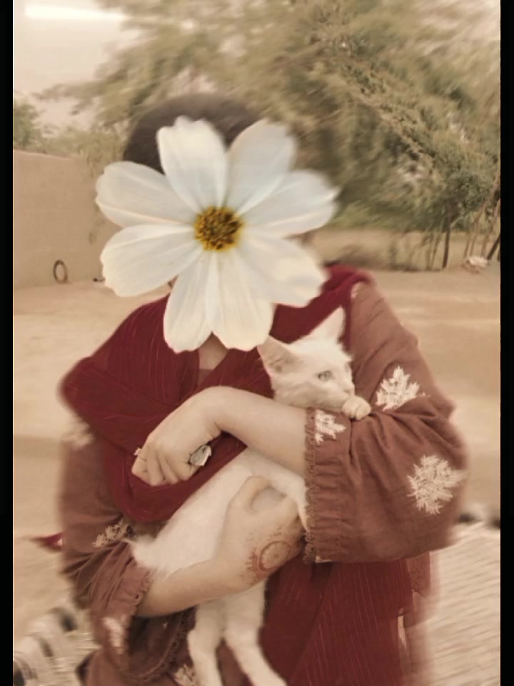 @muqadas__maria