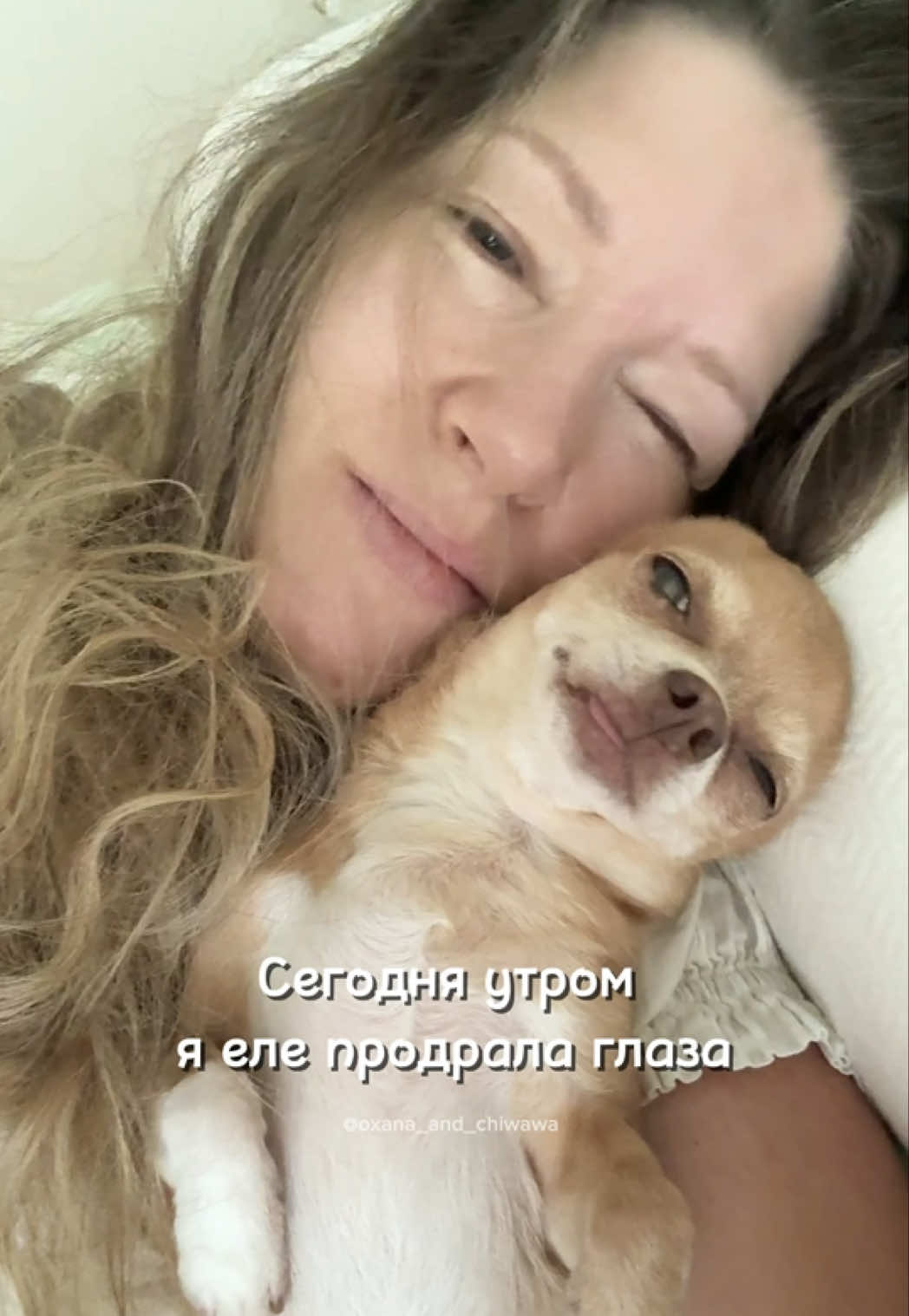 @Оксана & Чихуахуа Бонита