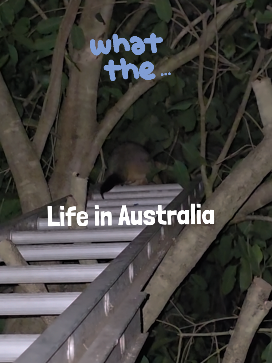 @Tezza- Chronic Pain Mum 🇦🇺