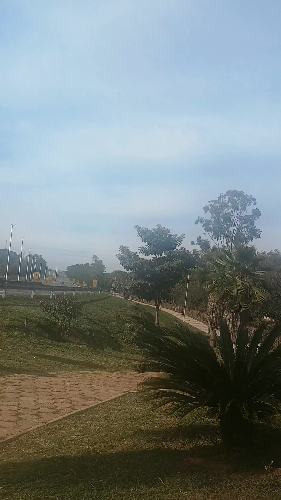 @Sônia Tavares campos