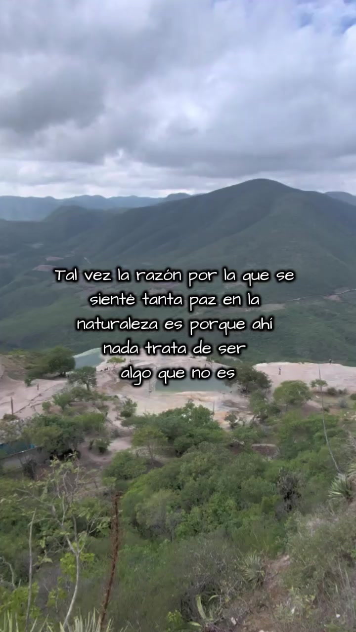 @Plantilla verde (memes)