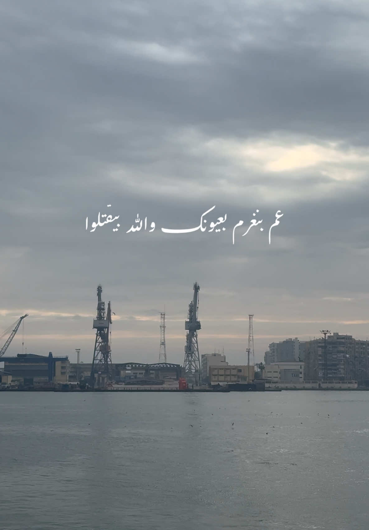 @خـالـد | khaled