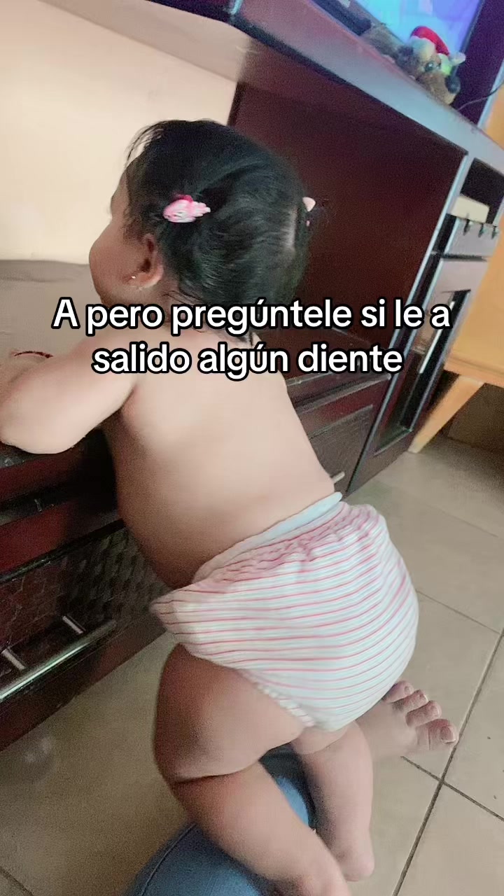 @mishell.verdezoto