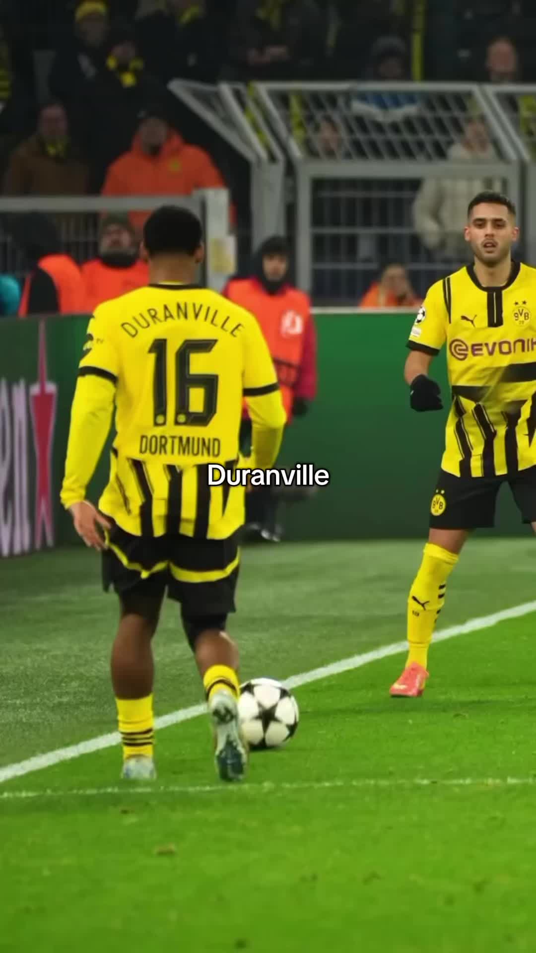 @D.B