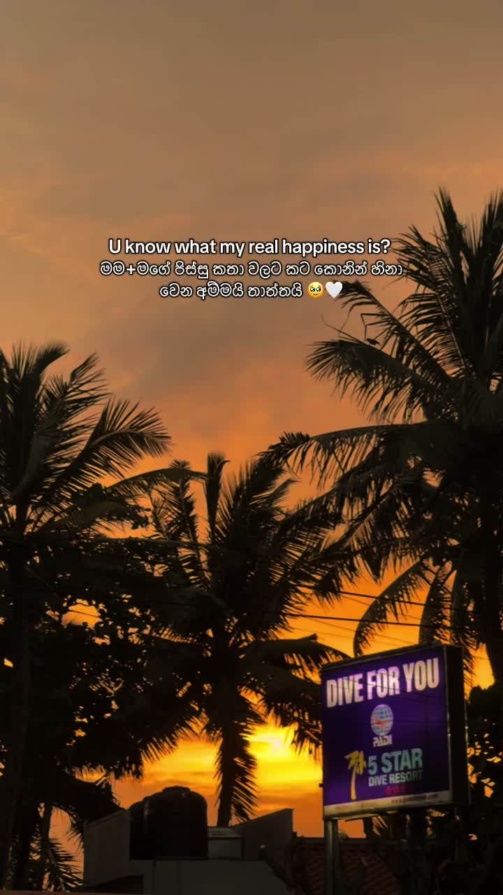 @ꇘ𝕙𝕖𝕨♡