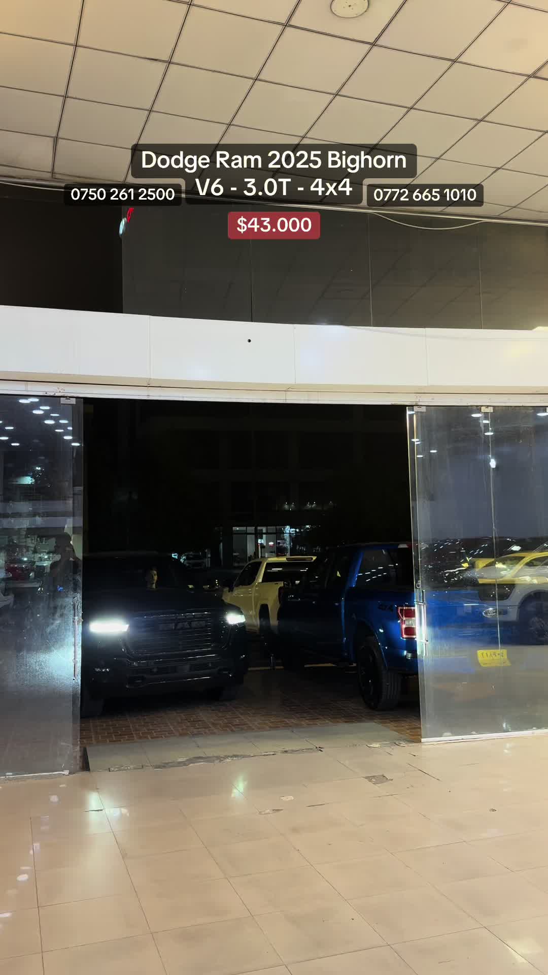 @Madina Cars