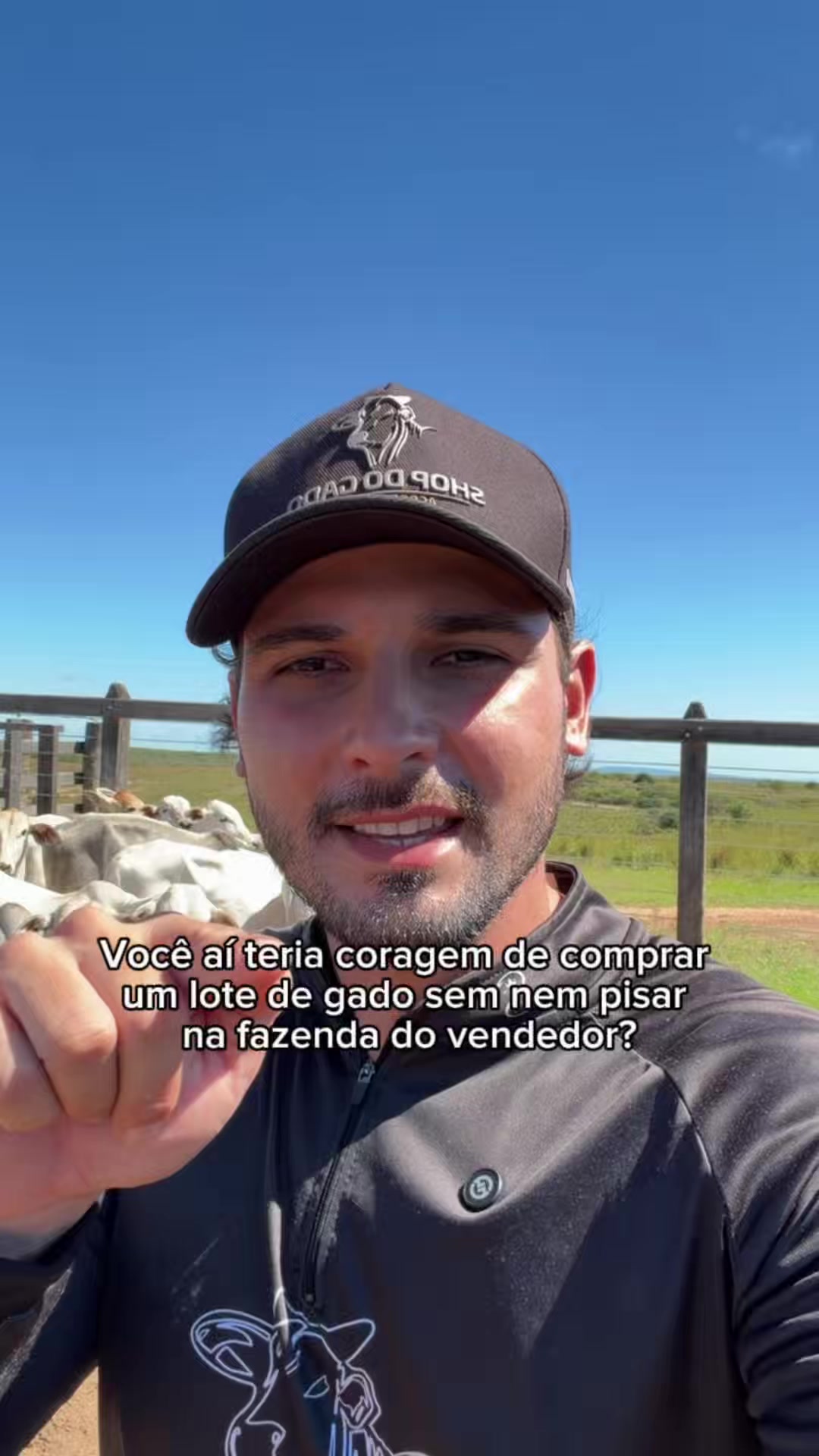 @Shop do Gado