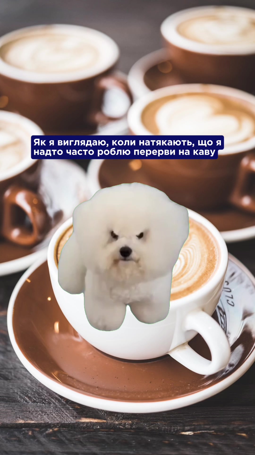 @JetCup ☕