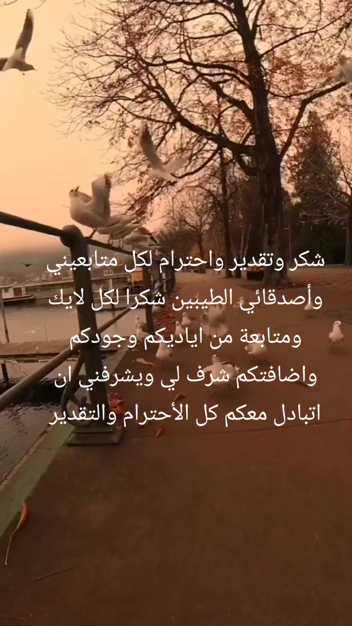 @هدوء البحر