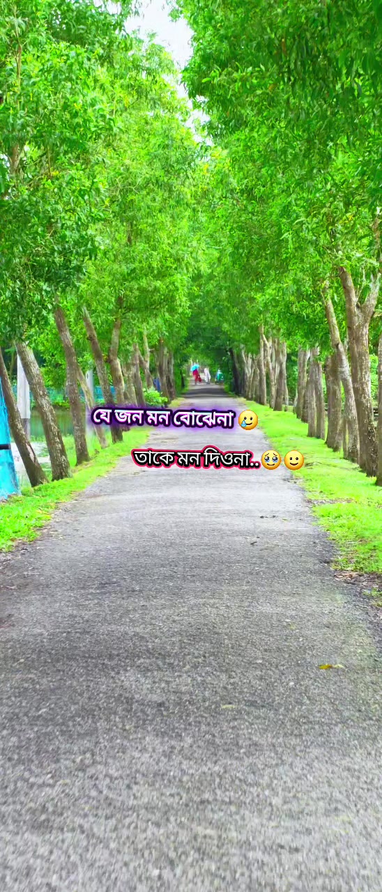 @đĨMehedi HasanđTuhinđēđ