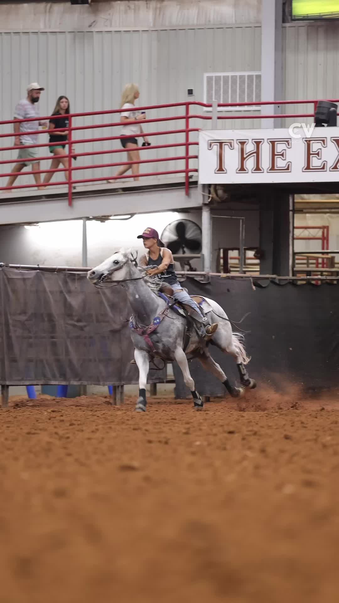 @TF Performance Horses