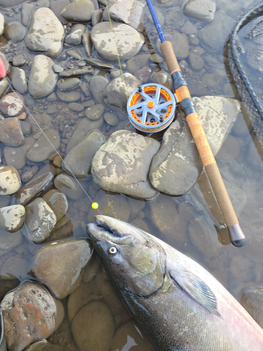 @the360angler