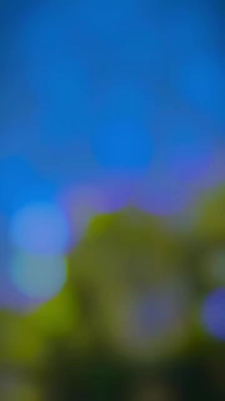 @ব্যর্থ কবি..!!👑
