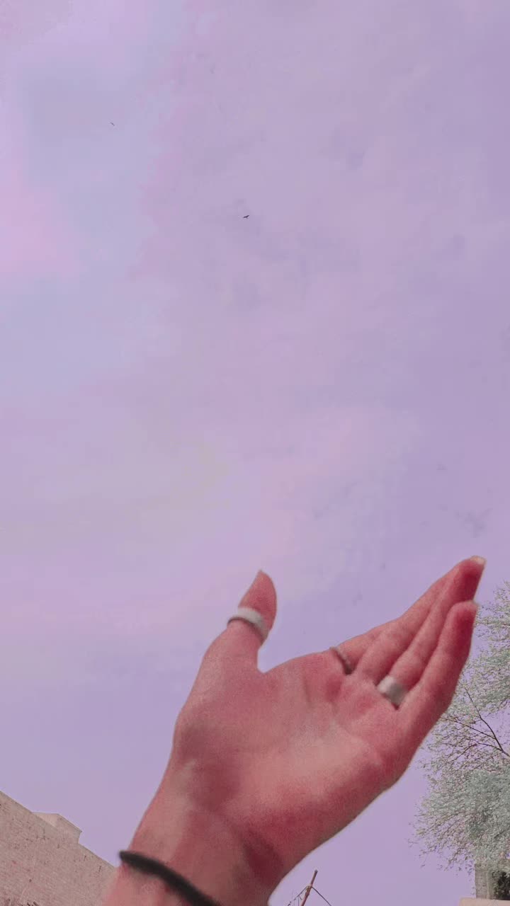 @Waliya✧༺♥༻✧🐥