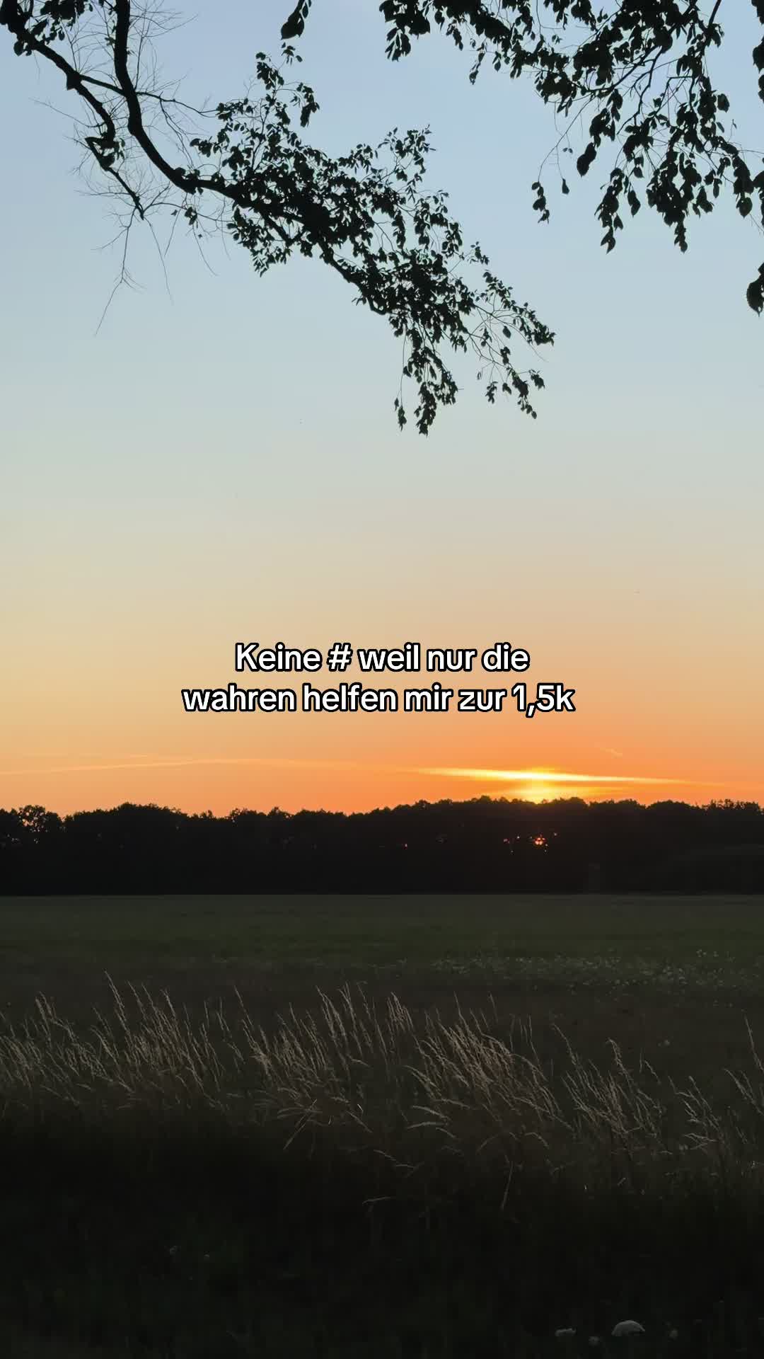 @𝕱𝖎𝖓𝖓🇩🇪🦅