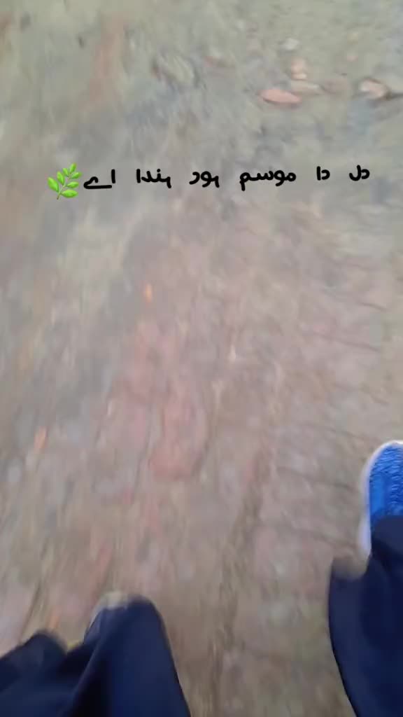 @ヅ𝘴ꪖن᭙ꪖل𝓲 سꪶꪮن𝓲 👑