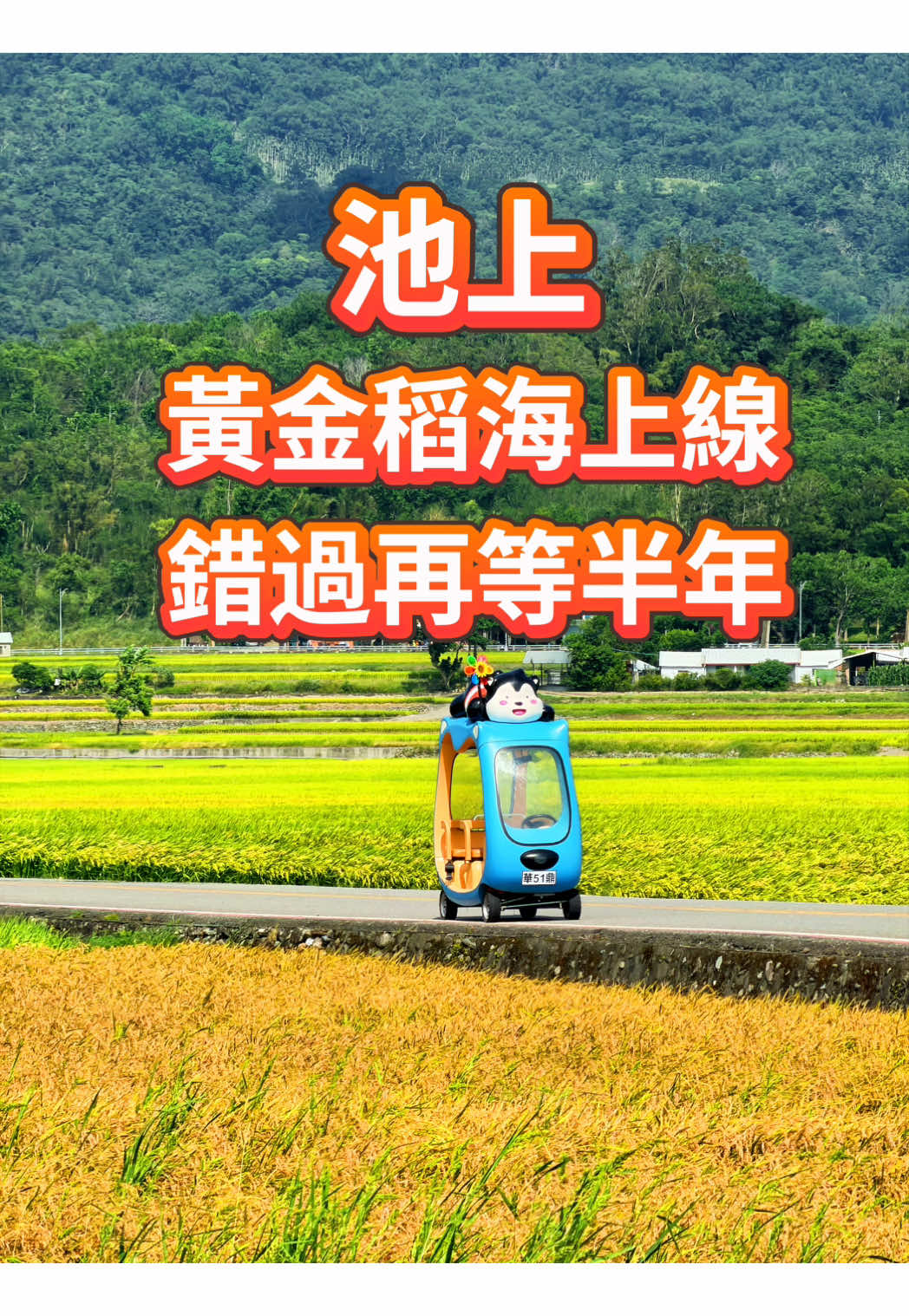 @美娴(華鼎自行車出租店)