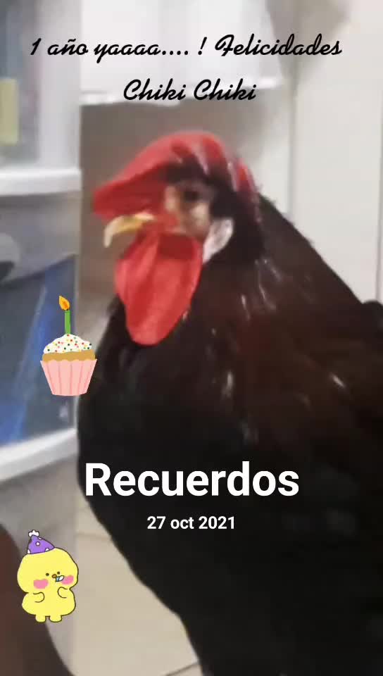 @chi_kii20