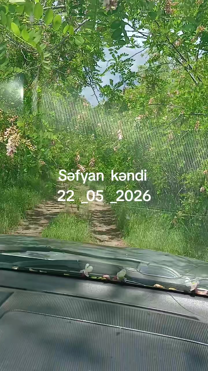 @VETERAN  041