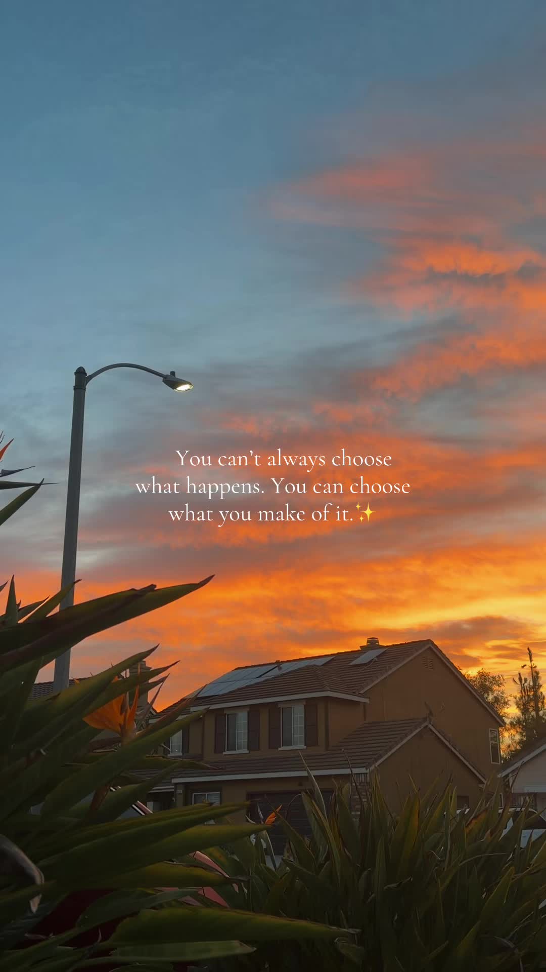 @๐
Sunset Lori ๐
