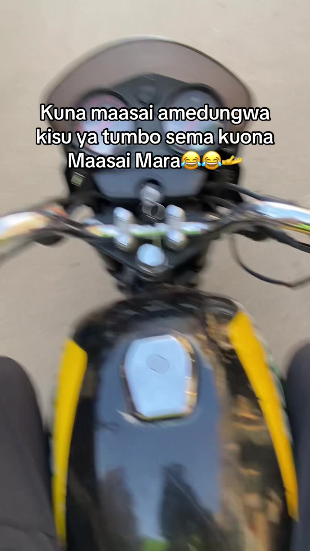 @kibbzdave