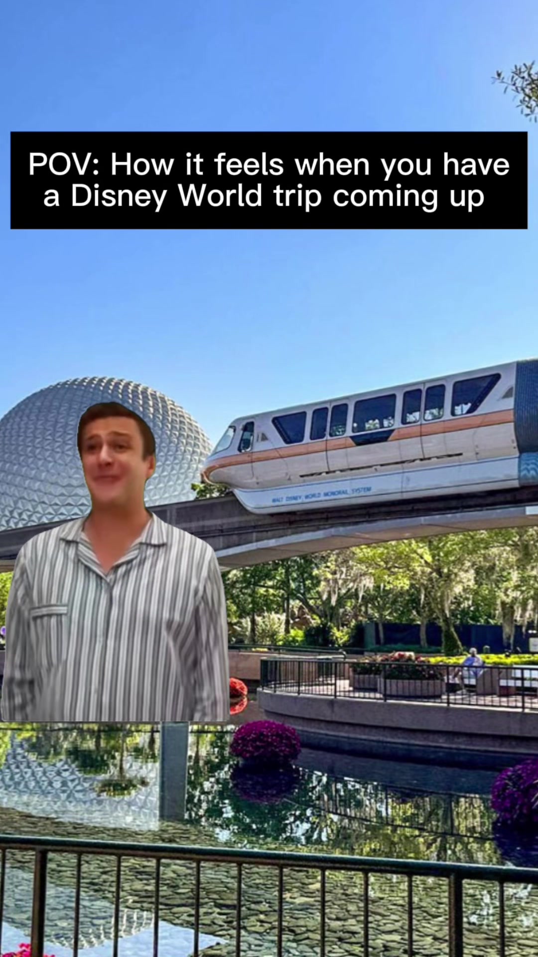 @disneywithty
