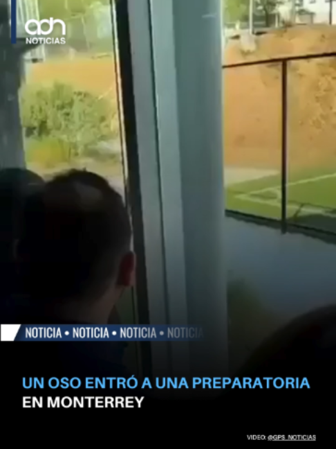 @adn Noticias