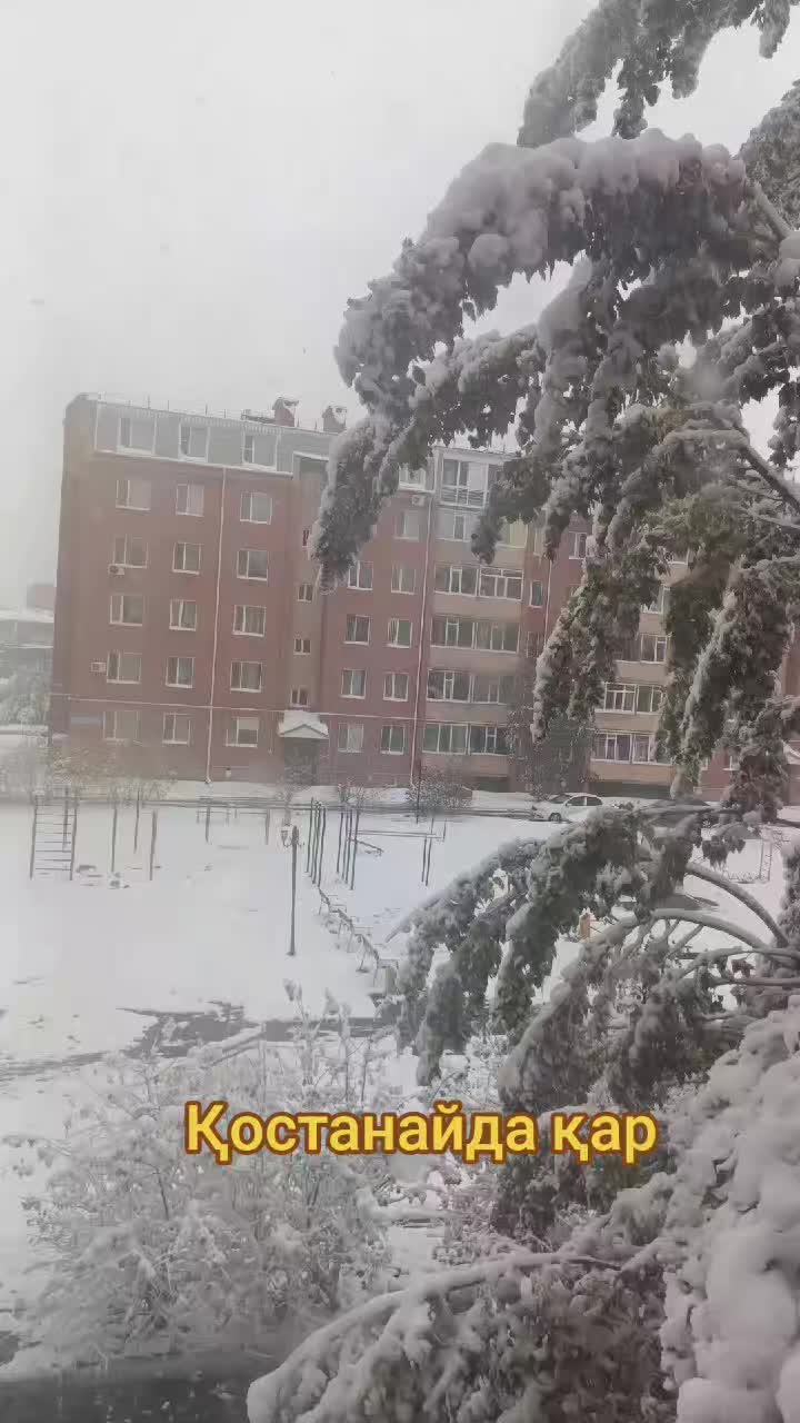@О смысле жизни