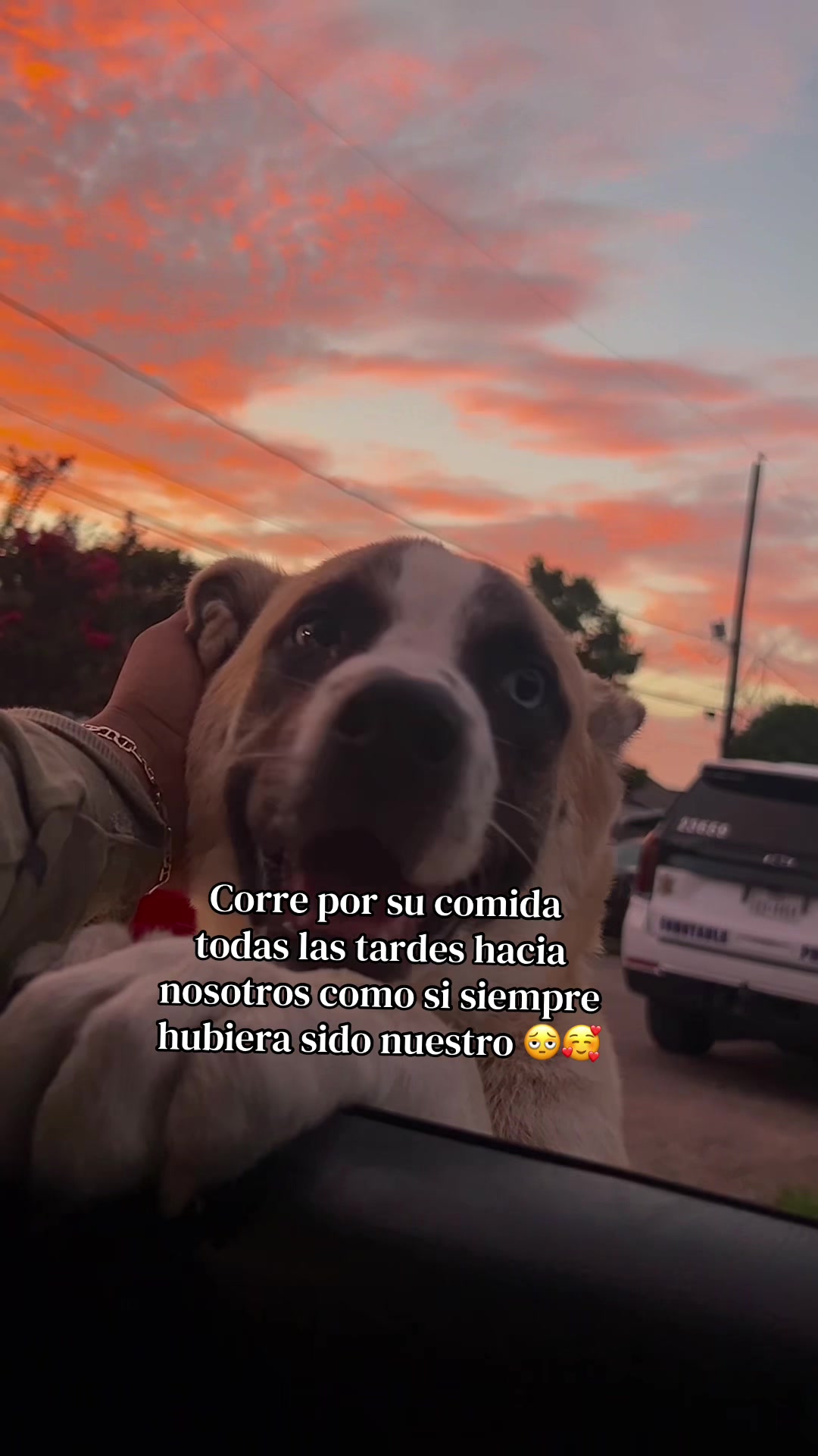 @Darling🎀