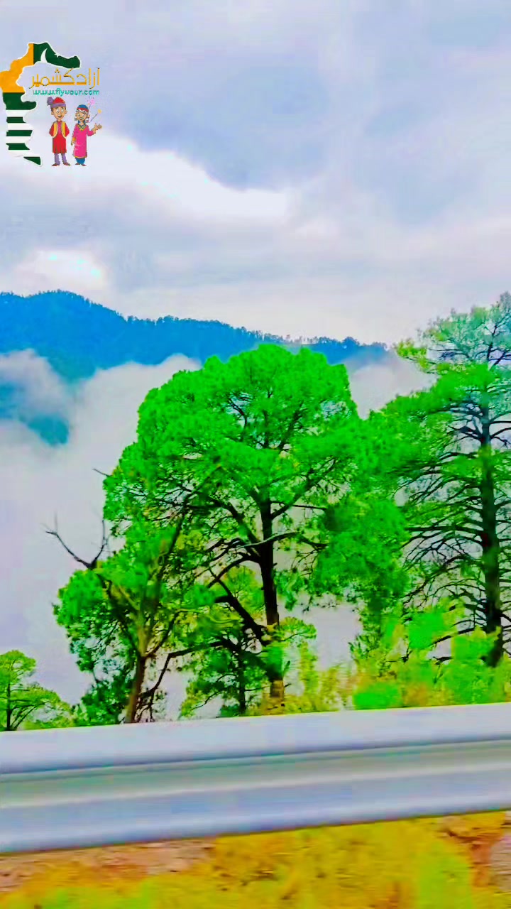 @🍁 amjad Kashmiri 🍁