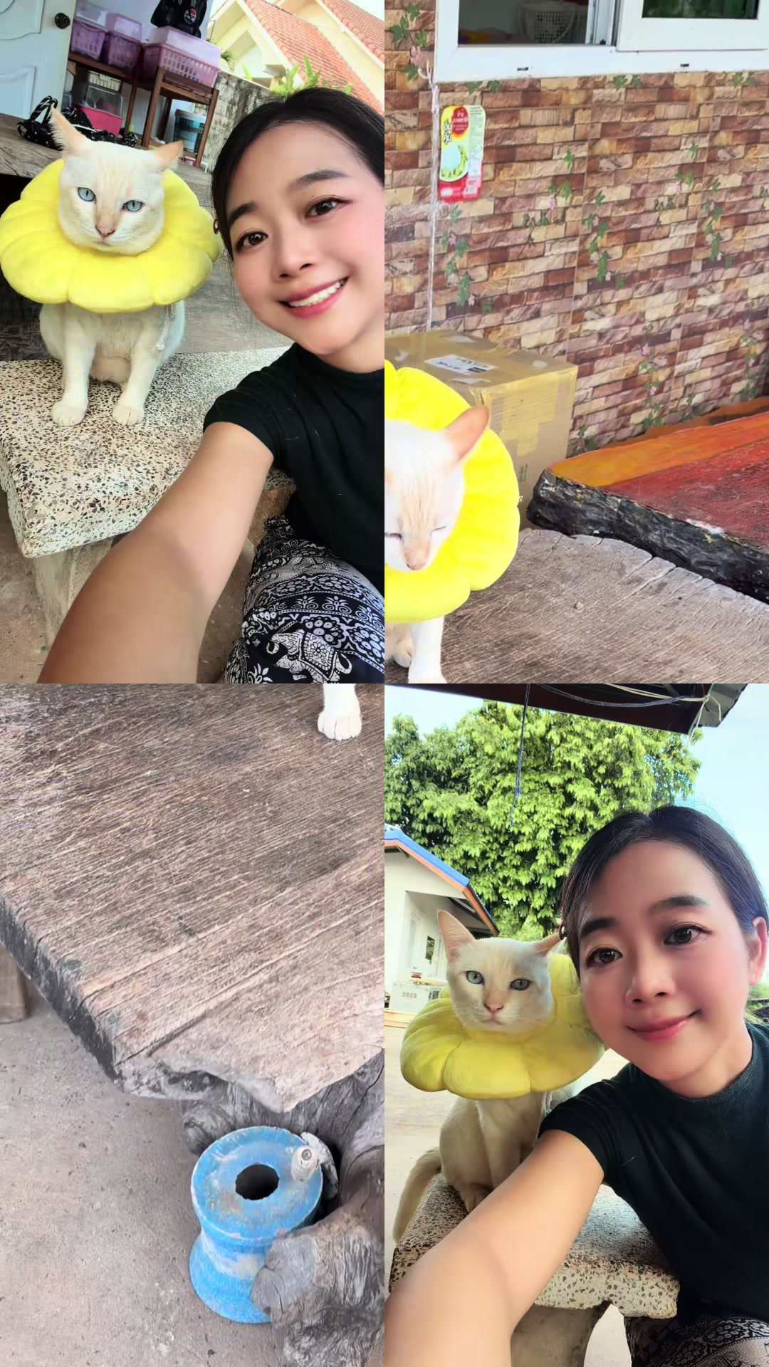 @ตานิ แม่คุ๊กกี้