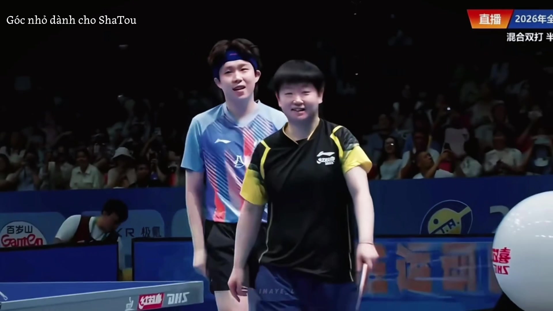 @Góc nhỏ dành cho ShaTou🦁🦈❤️