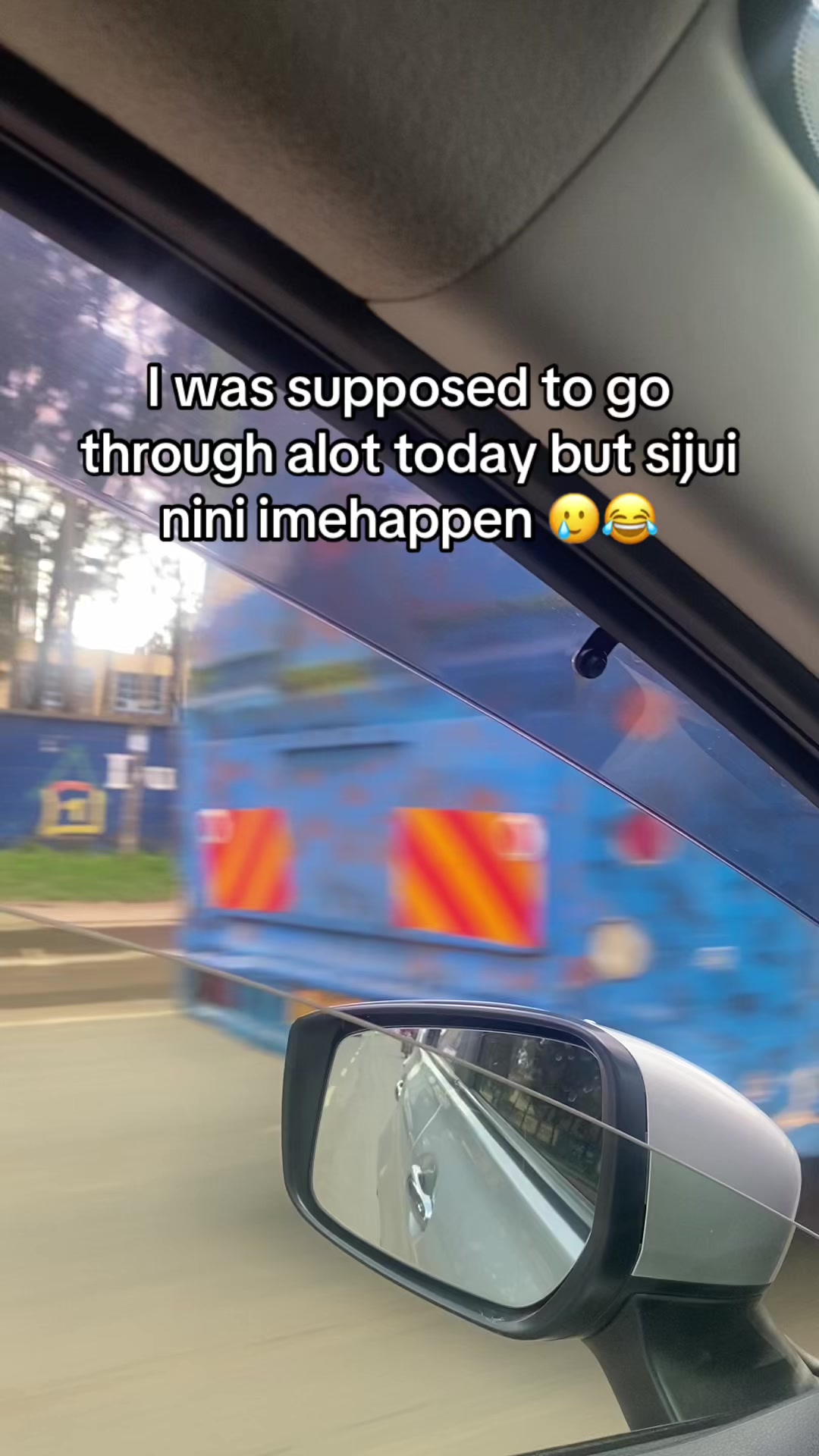 @︎︎︎ 𓃵