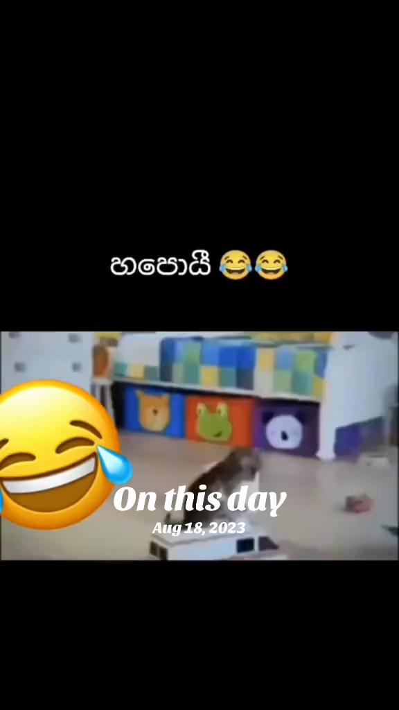 @Asha❤️Dula