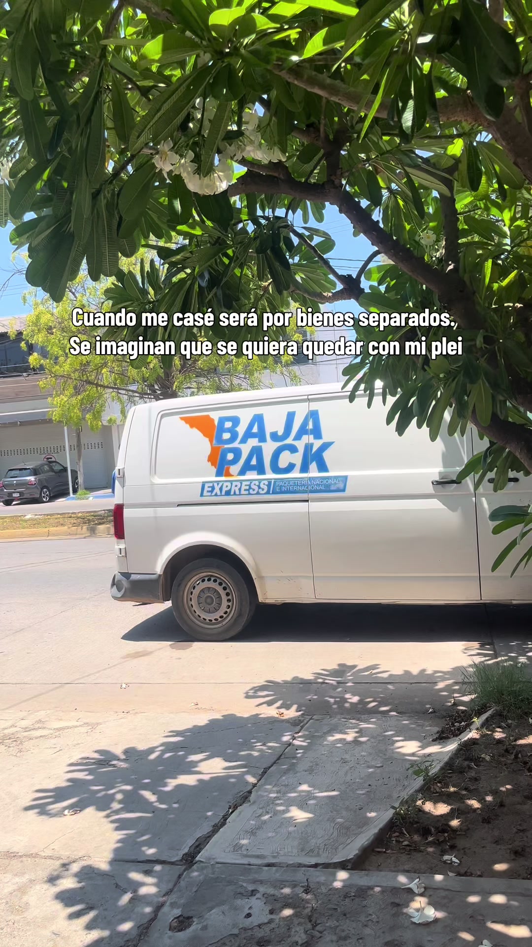 @Elpedrito19