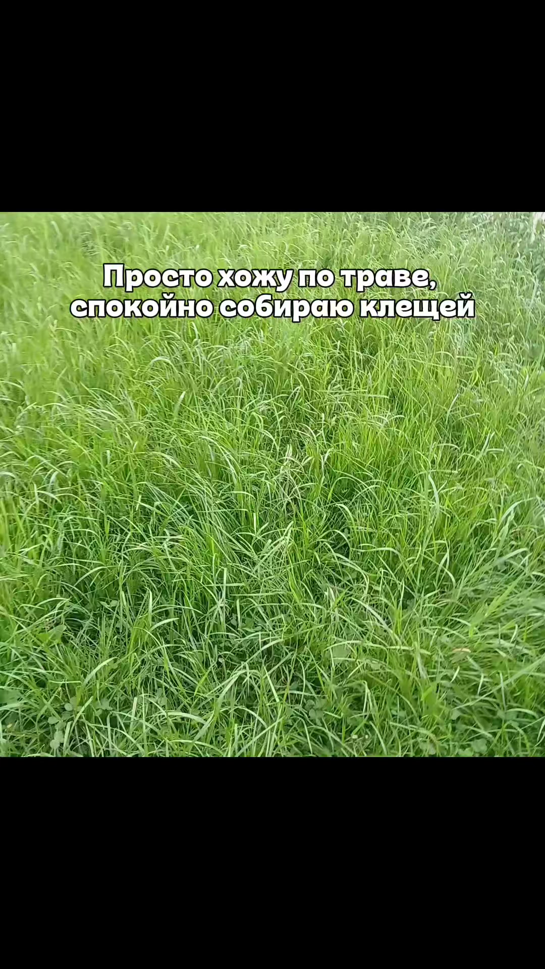 @кабачковый оладушек