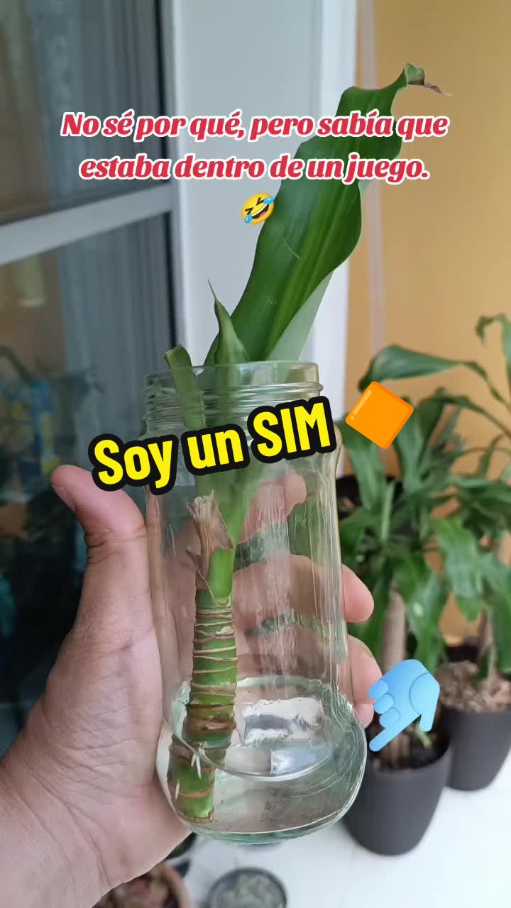 @★🇬 🇸 🇳 ★