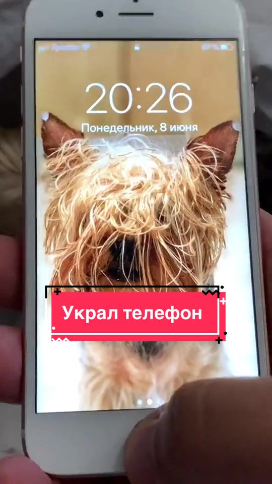 @Йорк Донни 🇺🇦