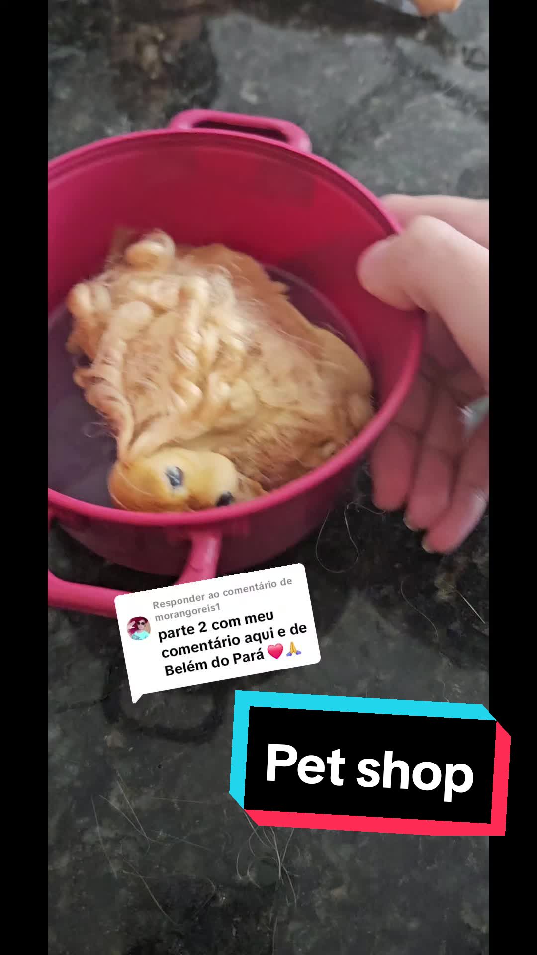 @Aquela da Cole&ccedil;&atilde;o
