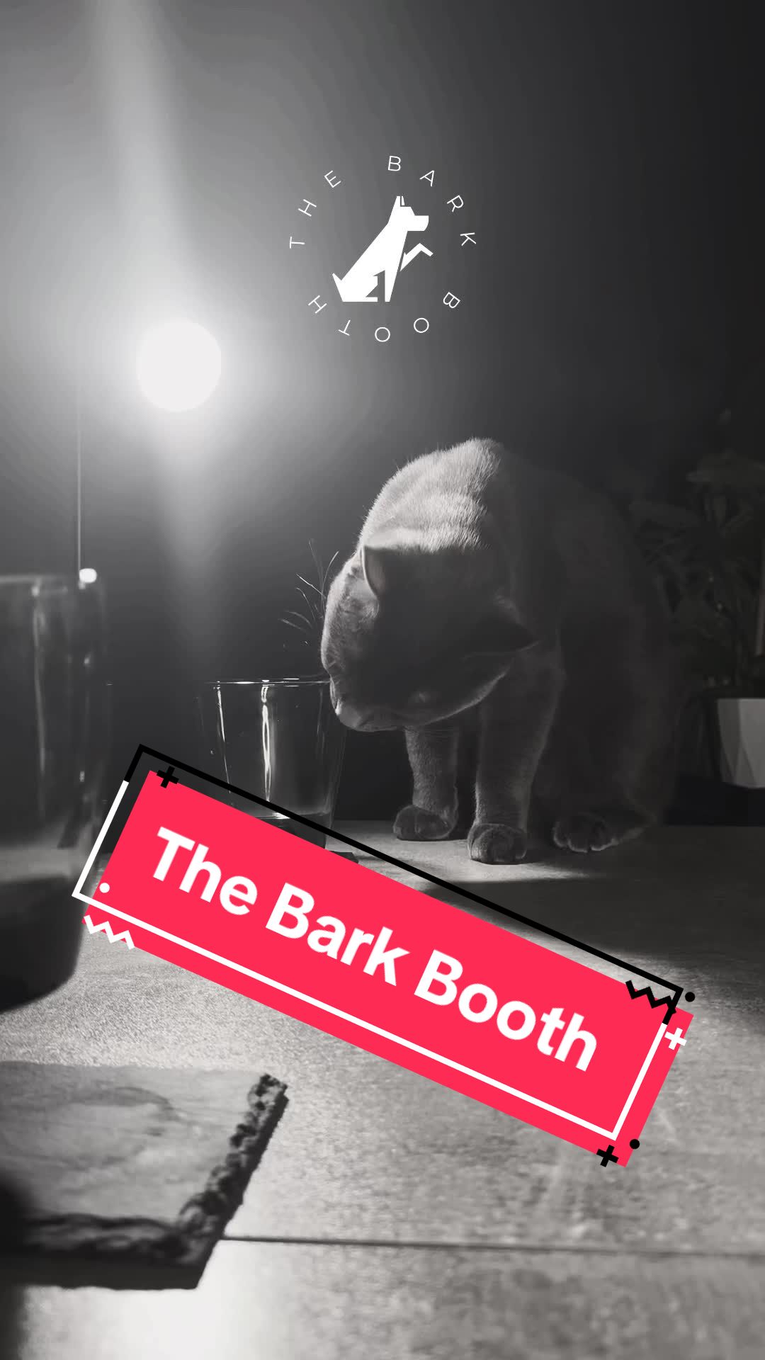 @The Bark Booth