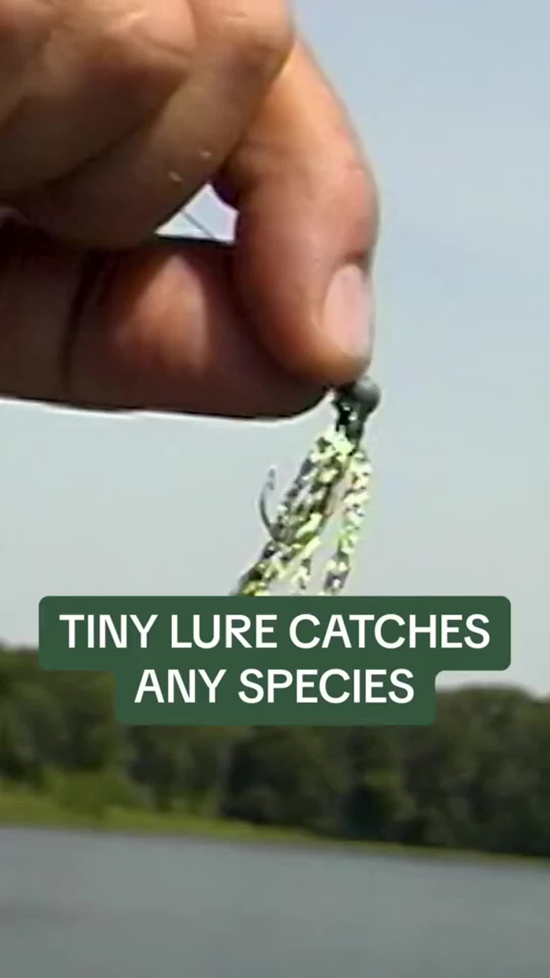 @Lunkerville