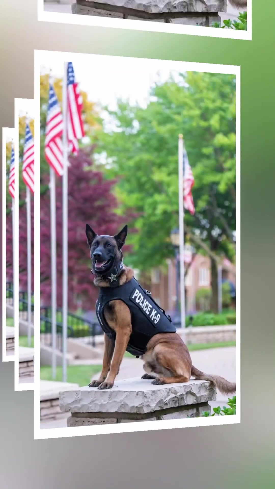 @Vested Interest in K9s, Inc.