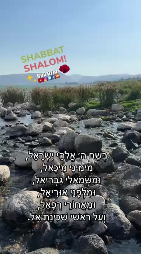 @Rav Dror