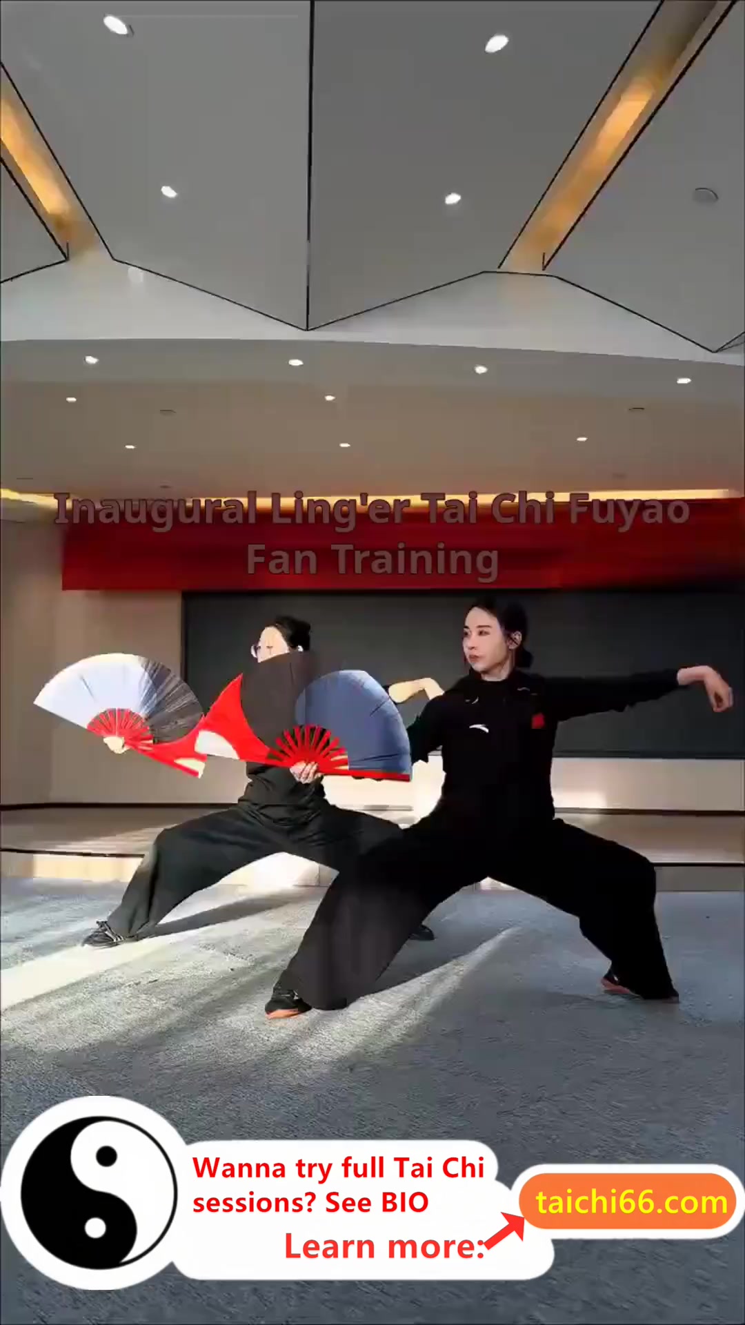 @HuaKai Taichi