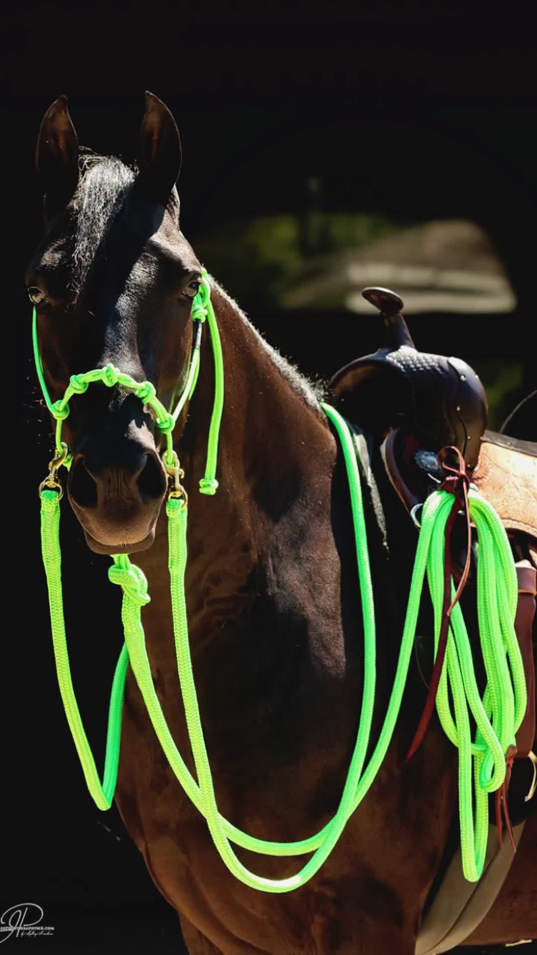 @Horse Help
