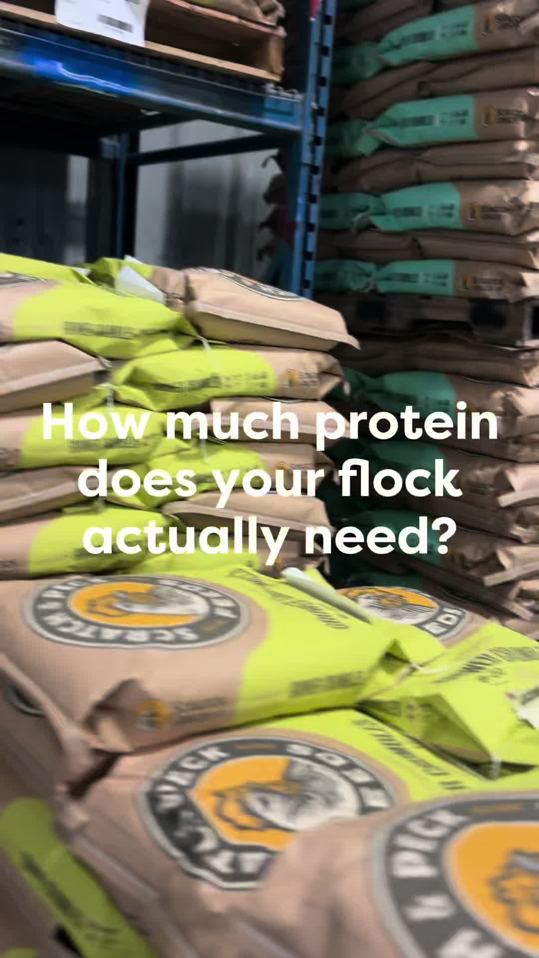 @Scratch and Peck Feeds