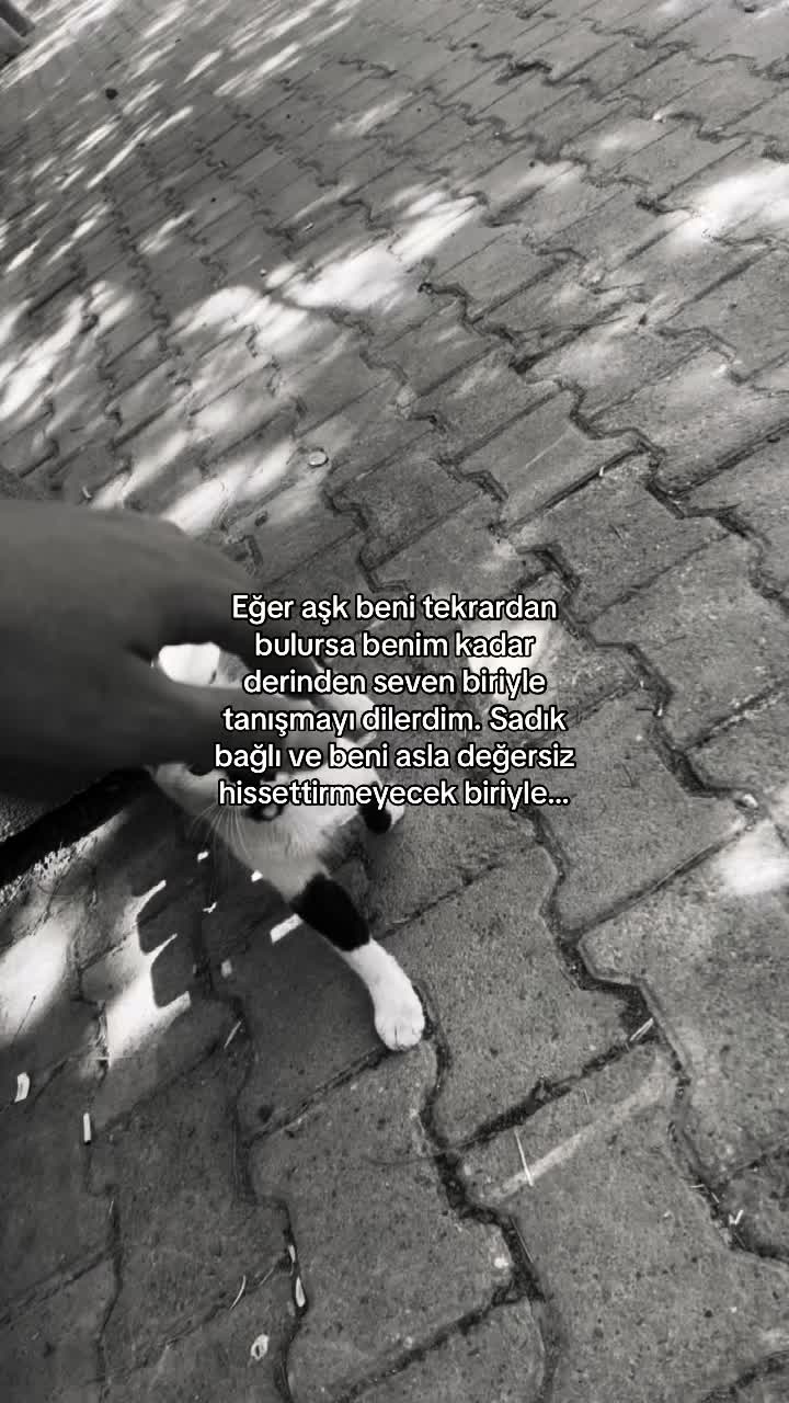 @bakiyogozlerimanaali